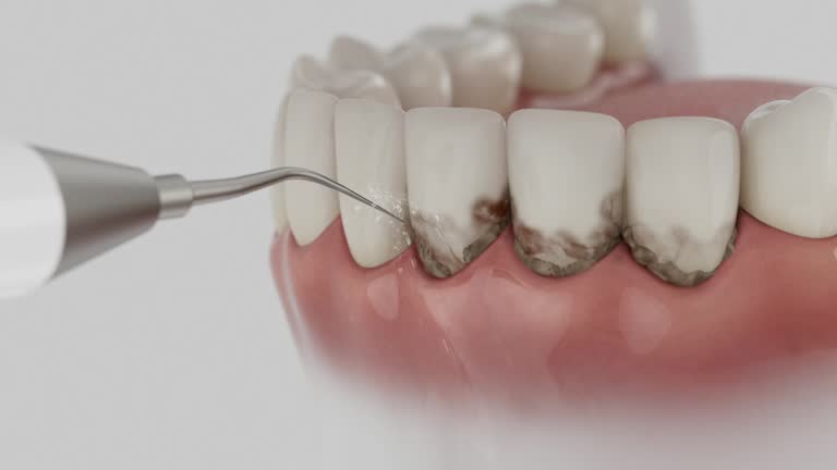 Reliable Dental contractor in Franklin, MI by Dentist Open Now